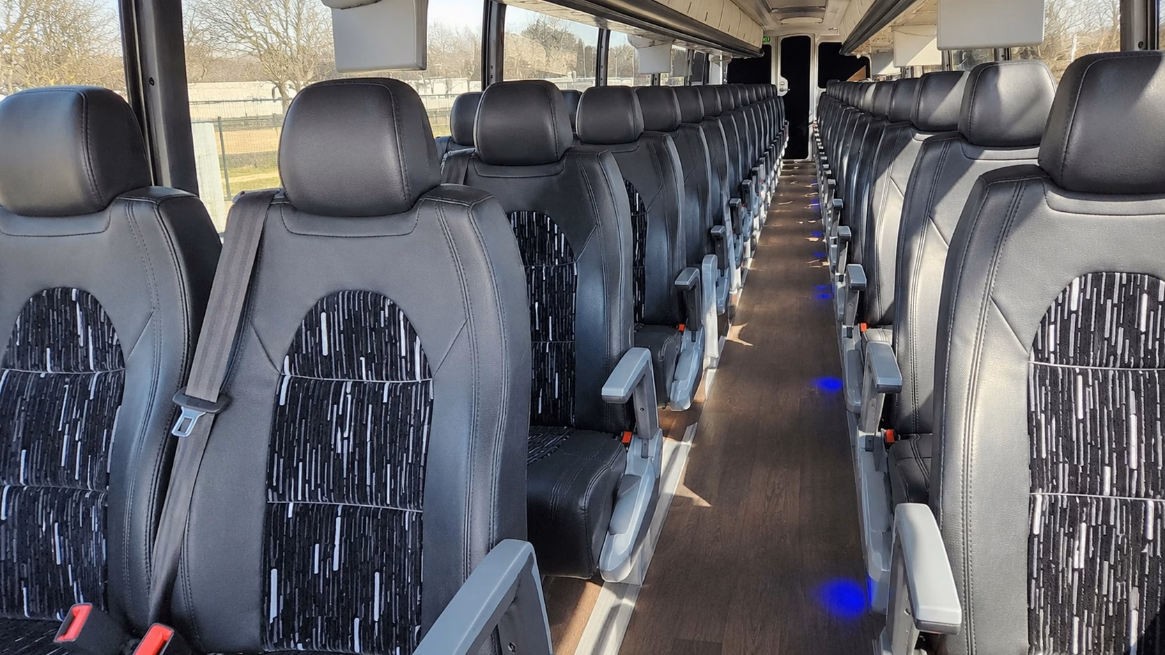 compare buses in minutes not days